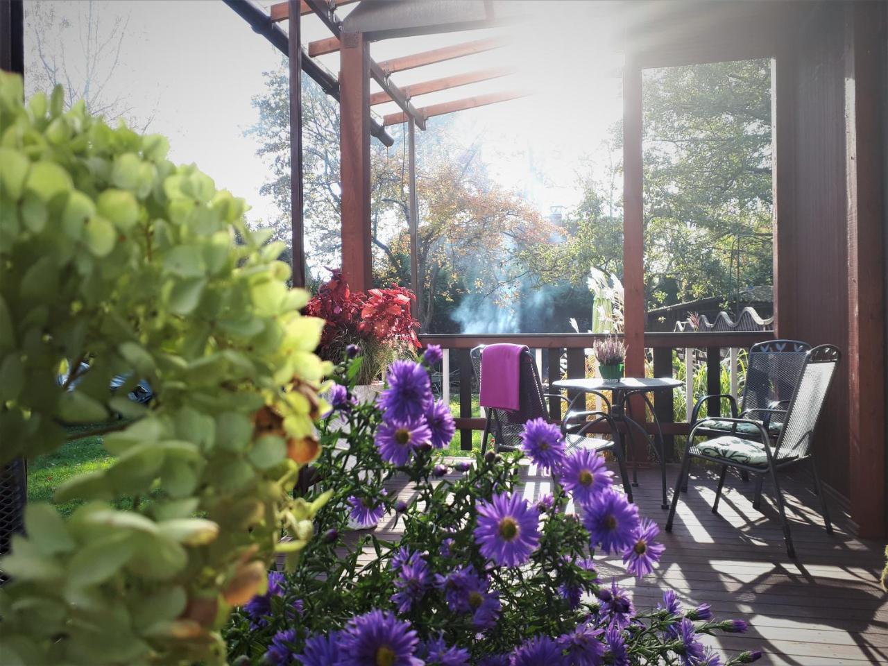 Alba Hotel Jūrkalne Εξωτερικό φωτογραφία